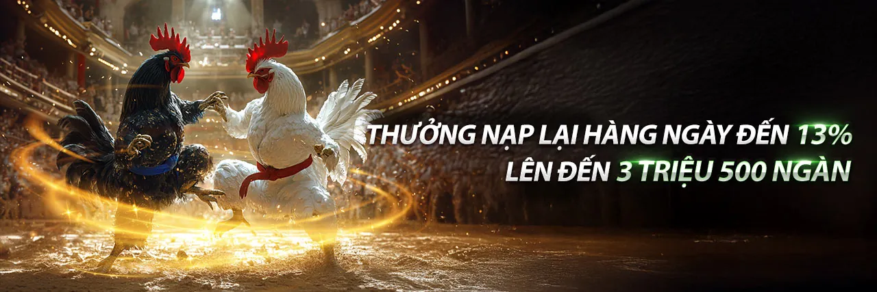 Sân đấu đá gà trực tuyến sôi động tại C54